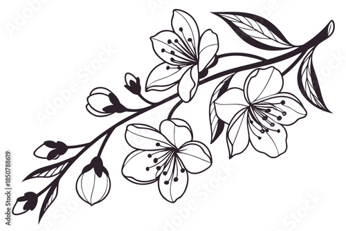 Flower Frame Outline Without Text Vector Illustra (3) Vector Illustration