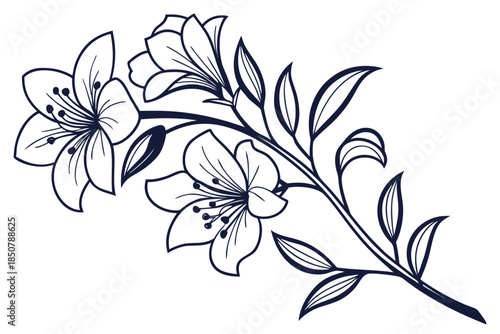 Flower Frame Outline Without Text Vector Illustra (2) Vector Illustration