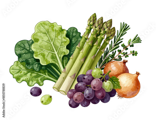 Fresh asparagus and kale with grapes and onion