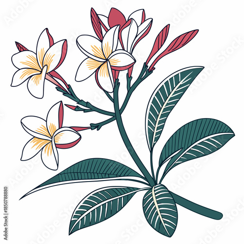 Tropical Flower Arrangement Minimal Flat Vector  Vector Illustration