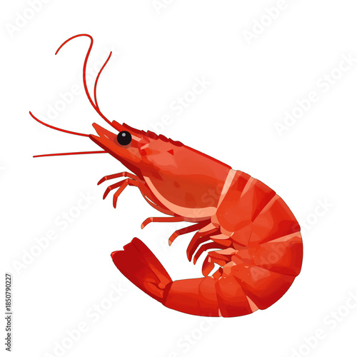 Vibrant red shrimp with long antennae