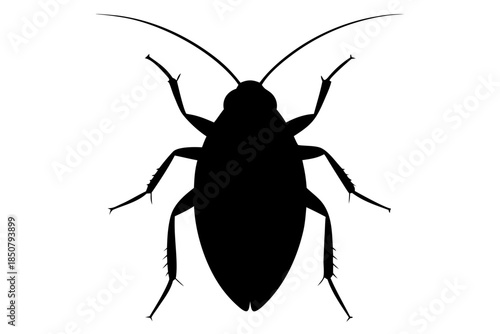 Cockroach silhouette vector, Cockroach icon black symbol 