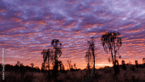 Cloudy sky at sunrise somewhere in the outback, Northern Territory, Australia