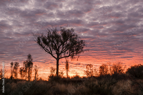 Cloudy sky at sunrise somewhere in the outback, Northern Territory, Australia