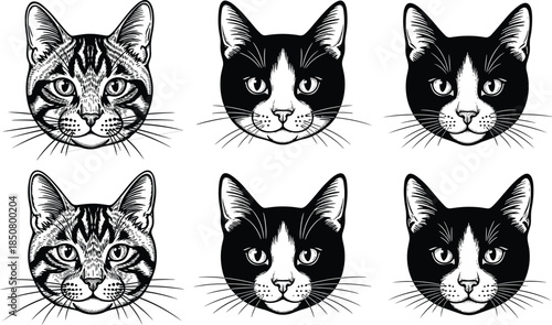 Black cat breeds vector set, fluffy feline silhouette for pet shop, logo and design