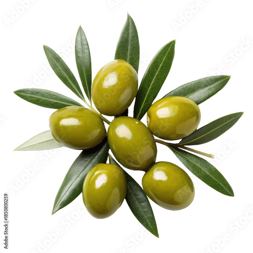 Wallpaper Mural Vibrant, fresh green olives with smooth, slightly glossy skin and delicate white bloom, are artfully arranged amongst their lanceolate, dark green leaves,, isolated on transparent background. Torontodigital.ca