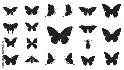 Collection of butterfly silhouettes in various poses on transparent background