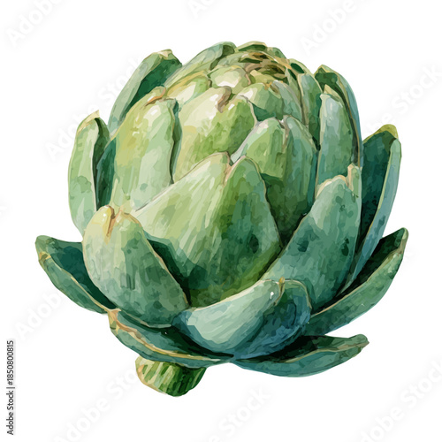 Isometric watercolor rendering of Artichoke Agave, isolated on a clean white background.