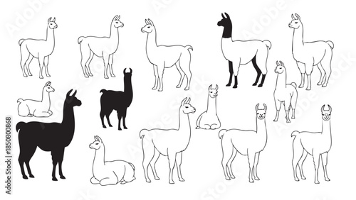 Collection of Illustrations Featuring Various Llamas and Alpacas in Different Poses