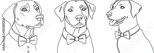 Line drawing of three dogs wearing bow ties with different expressions on a transparent background