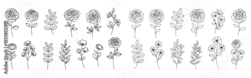 Black and white line art collection of various roses, delicate flowers, and botanical foliage sprays, floral icons