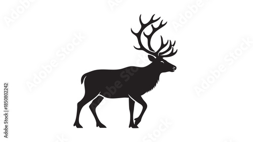 Silhouette of a majestic reindeer with large antlers walking on white background