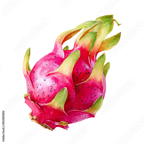 Watercolor isometric artwork featuring Dragon Fruit, presented on white background.
