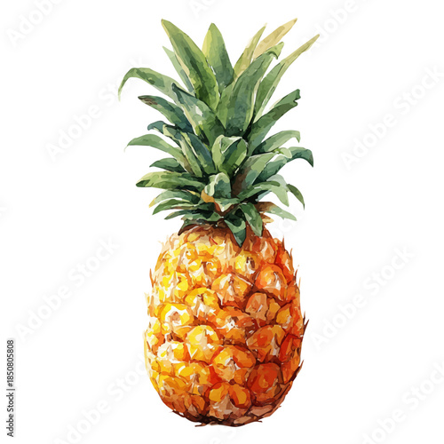 Pineapple illustrated in isometric watercolor style, isolated on white.