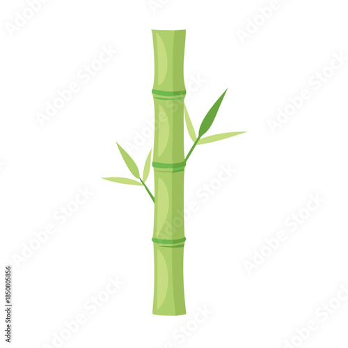Vector illustration of green bamboo branches with leaves and stems isolated on white background representing zen nature and lucky growth in Japanese spa decoration