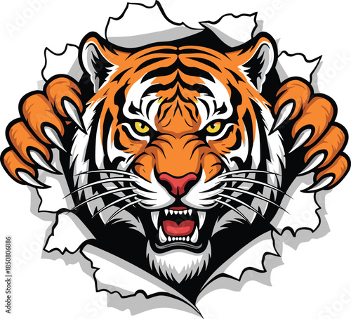 Fierce tiger bursting through torn paper, wild animal mascot, aggressive predator claws out, intense roar expression, flat vector illustration