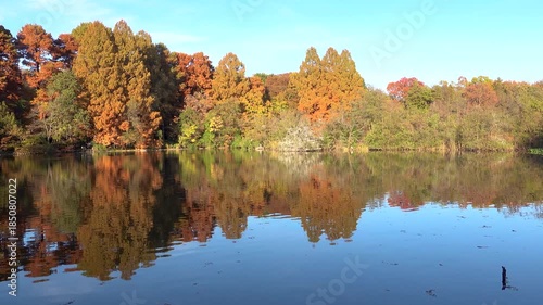 Autumn Scenery at Shakujii Pond in Tokyo