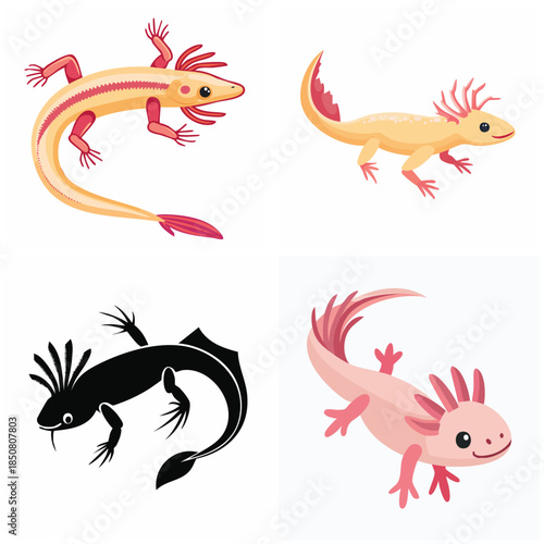 Axolotl illustrations on white background for educational and creative projects