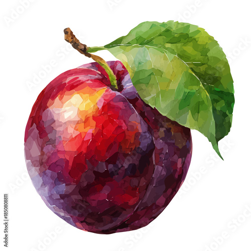 A watercolor isometric illustration of Plum, cleanly isolated on white background.