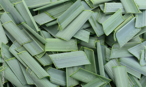 Background of sliced green lemongrass leaves