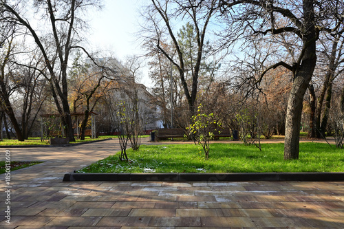 Park view of grass and snow in winter city