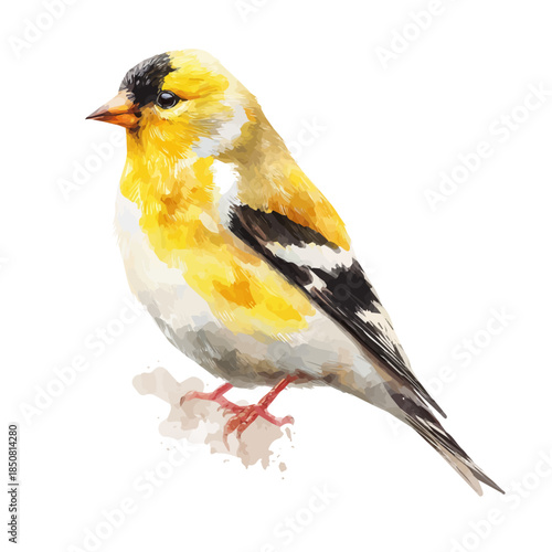 Isometric watercolor rendering of Goldfinch, isolated on a clean white background.