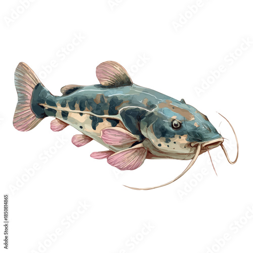 A watercolor isometric illustration of Catfish With Barbels, cleanly isolated on white background.