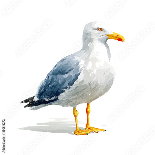 Watercolor isometric artwork featuring Seagull, presented on white background.