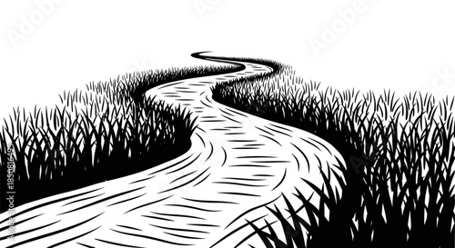 Winding River Path Through Tall Grass Inspiring Journey and Growth for Business and Life Adventures