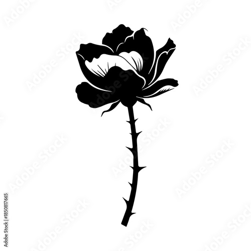 Black rose silhouette