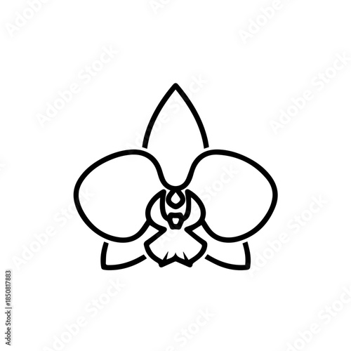 Black and white orchid flower