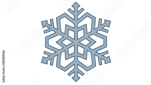 A large gray snowflake on white background, winter weather icon, frosty crystal design element