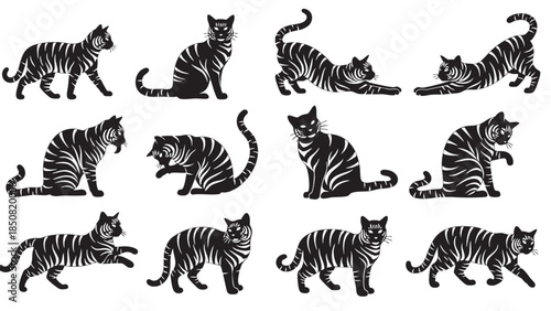 Collection of Black and White Cats in Various Poses on Transparent Background