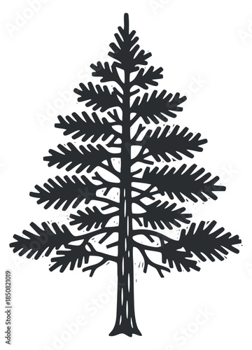 A stylized silhouette of an evergreen tree in black vector style, perfect for nature-themed designs and illustrations