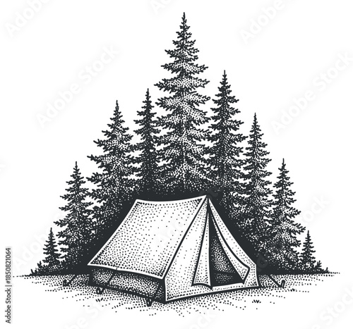 A camping tent surrounded by tall coniferous trees in detailed black and white vector style, ideal for outdoor adventure themes