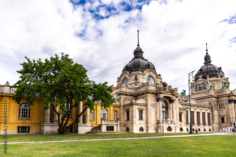 Fototapeta premium Budapest