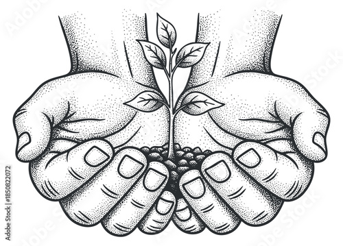 Two hands cradling a small plant with leaves in a detailed black and white line art vector style, ideal for environmental themes and sustainability projects