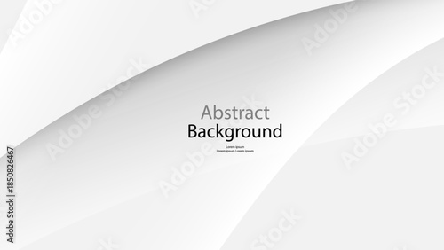 Gray tone and white color background abstract art vector