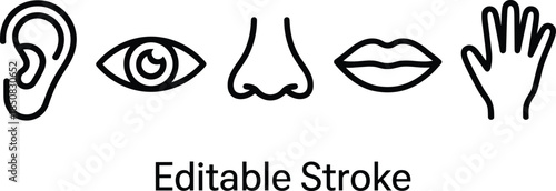 Human five senses line icons set showing ear eye nose lips hand editable stroke minimalist vector illustration