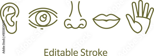 Human five senses line icons set showing ear eye nose lips hand editable stroke minimalist vector illustration