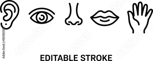 Human five senses line icons set showing ear eye nose lips hand editable stroke minimalist vector illustration