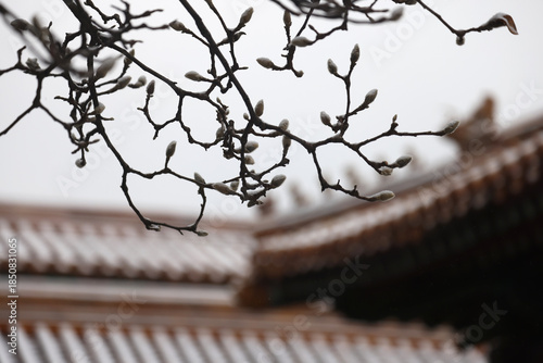 forbidden city beijing