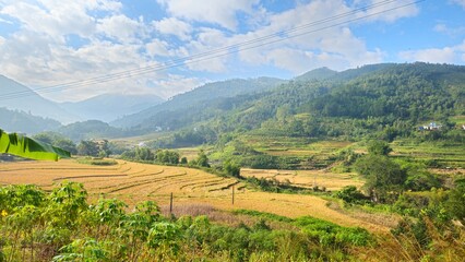 Handdoek met foto Rijstvelden Geoogste rijstvelden Noord-Vietnam landschap  © Nature-Andy