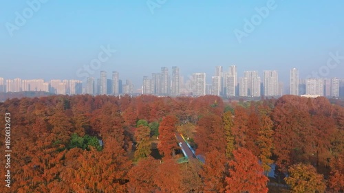 Wallpaper Mural Autumn Scenery of East Lake Scenic Area, Wuhan, Hubei, China Torontodigital.ca