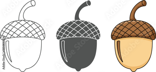 Set of three acorns, one in outline, one in silhouette, and one in color, isolated on white background perfect for autumnthemed designs and educational materials