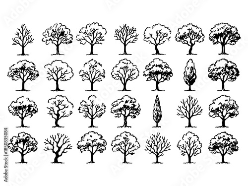 30 Hand Drawn Tree Sketch Silhouettes in Vintage Ink Style