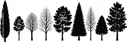 Three detailed black deciduous tree silhouettes without leaves isolated on white background for winter nature landscape design, architectural rendering, and seasonal vector illustrations