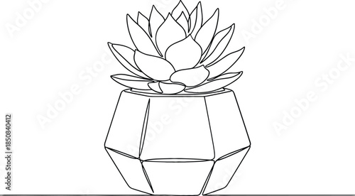 Minimalist one line drawing of succulent plant in geometric pot continuous black line art on white background.