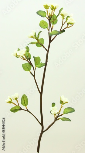 Elegant Pale Cream Mistletoe Sprig on Soft Neutral Background