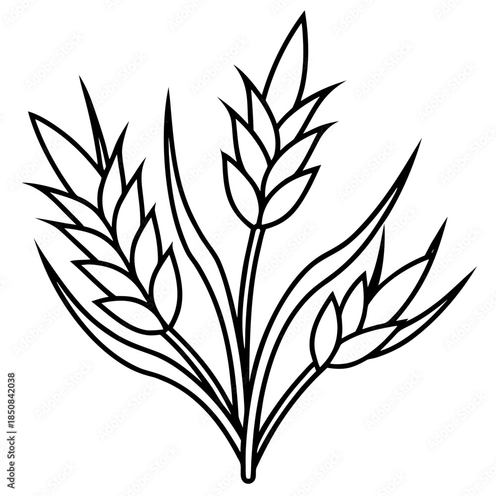 Obraz premium Oats line art vector